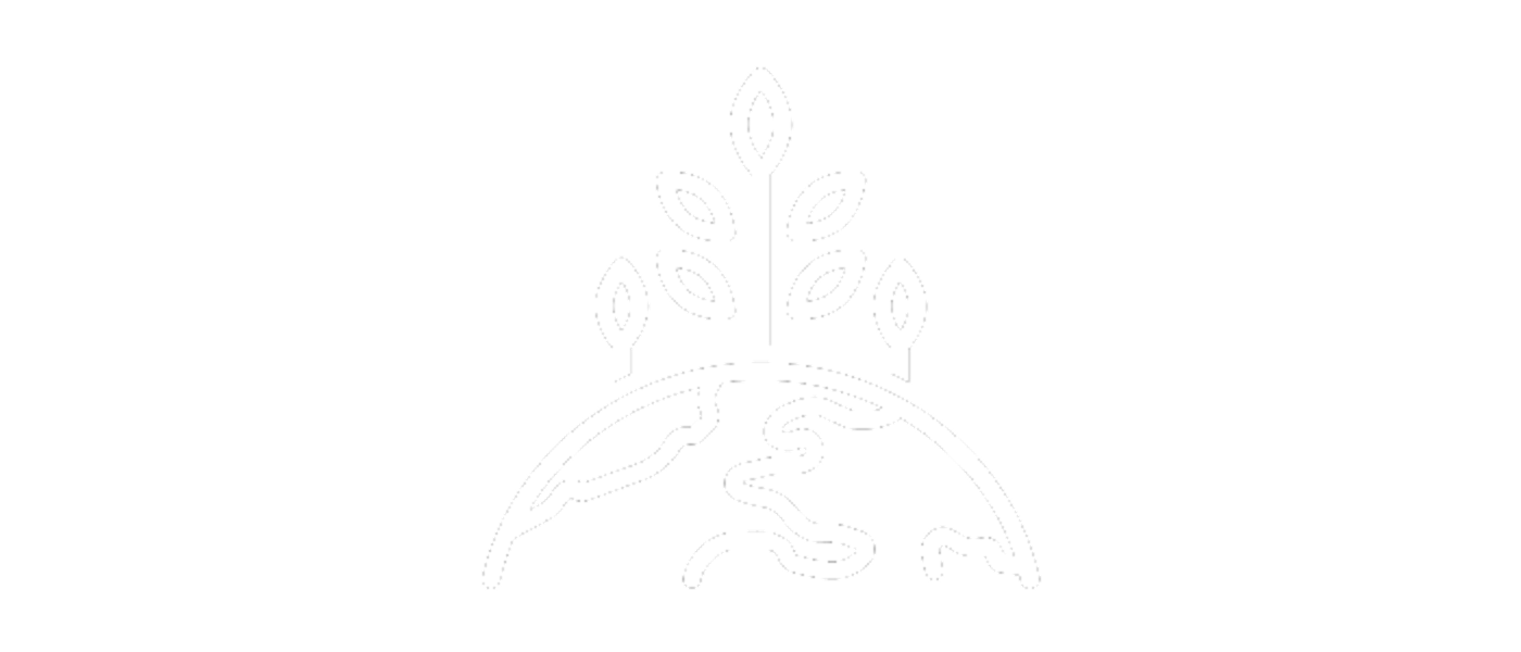 Planet icon