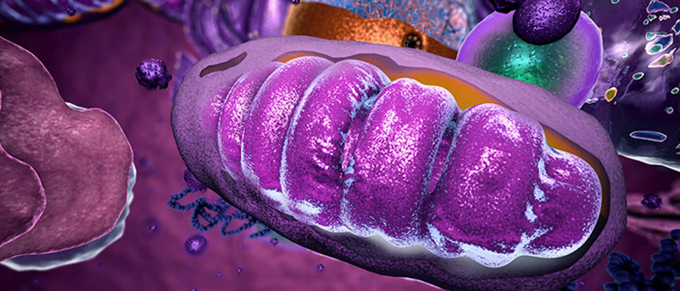 Luminescent mitos cell